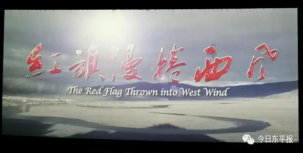 小马宝莉的新造型