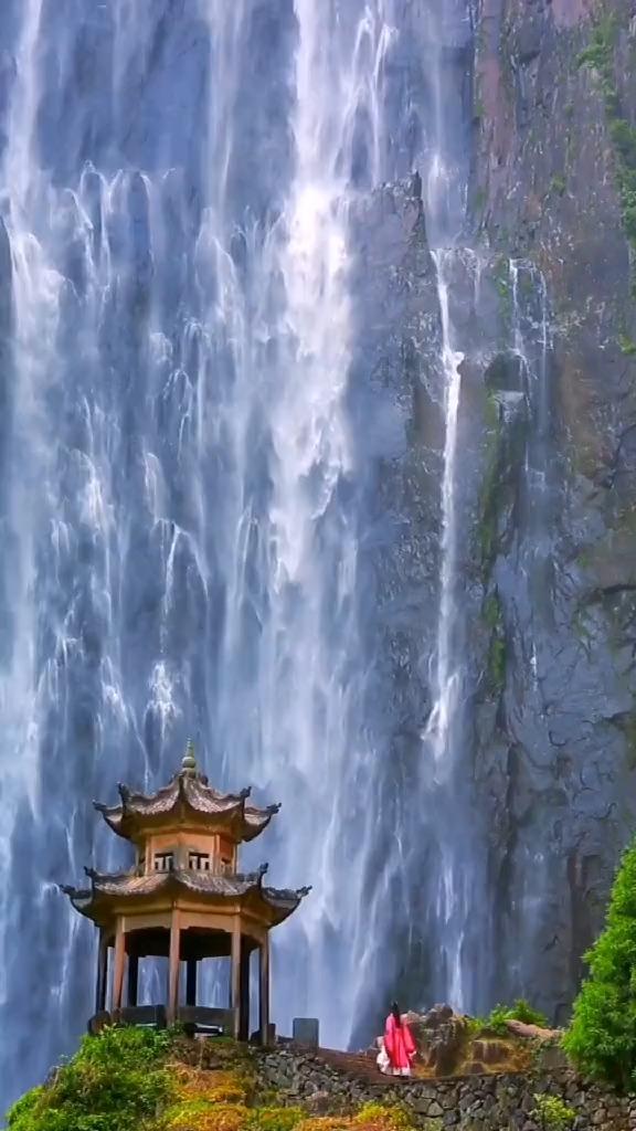 穿心莲片的功效与作用,农敢网具体有哪些