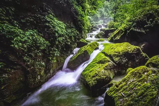 逃出安逸小乡村